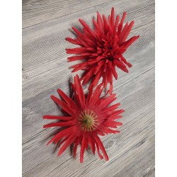 Chryzantéma červená - květ